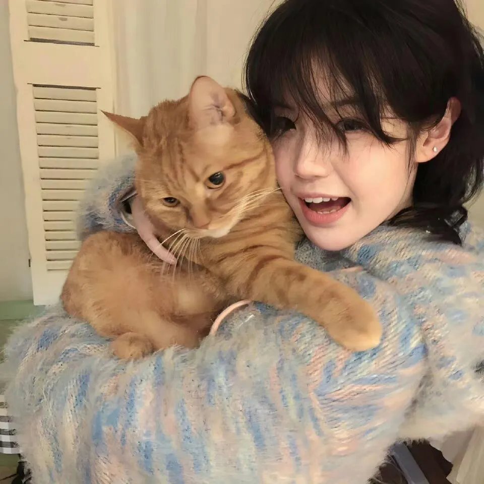 午夜凶铃3(美版)